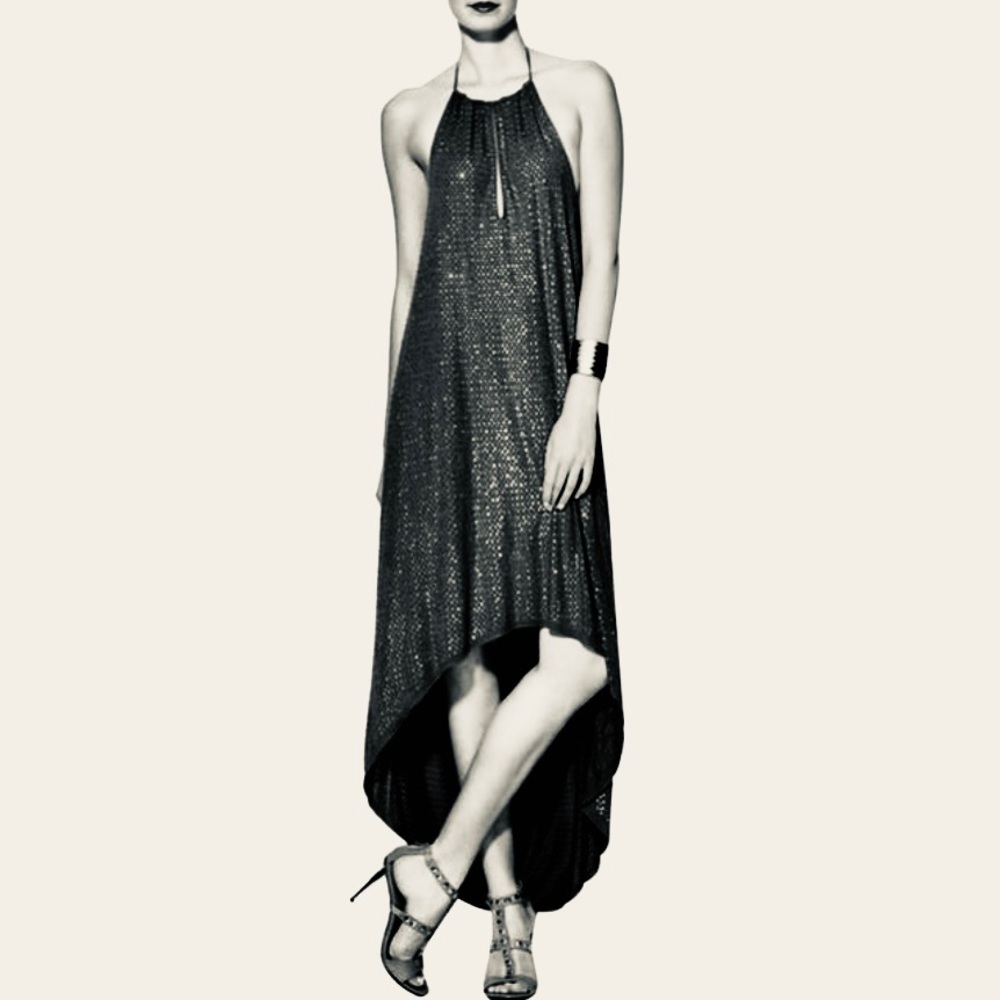 COPY - 🕕 NWT! New Haute Hippie Halter Sparkling Jersey Maxi Dress